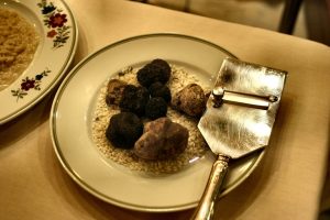 photo-of-truffles-on-the-plate-783153